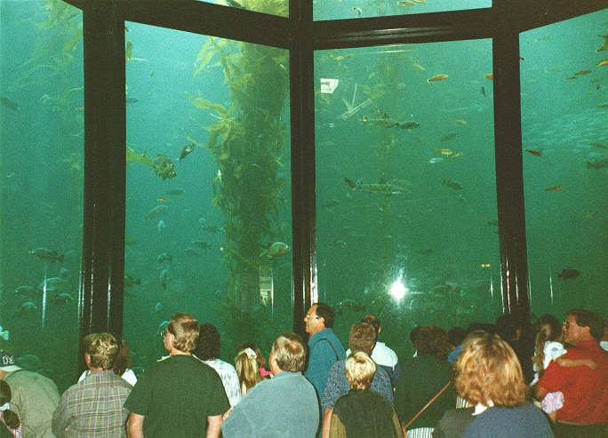 Monterey Bay Aquarium - 2