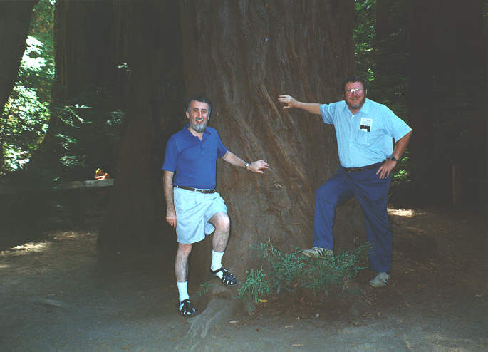 Stuart Kingsley and Don Tarter measuring up a Giant Redwood